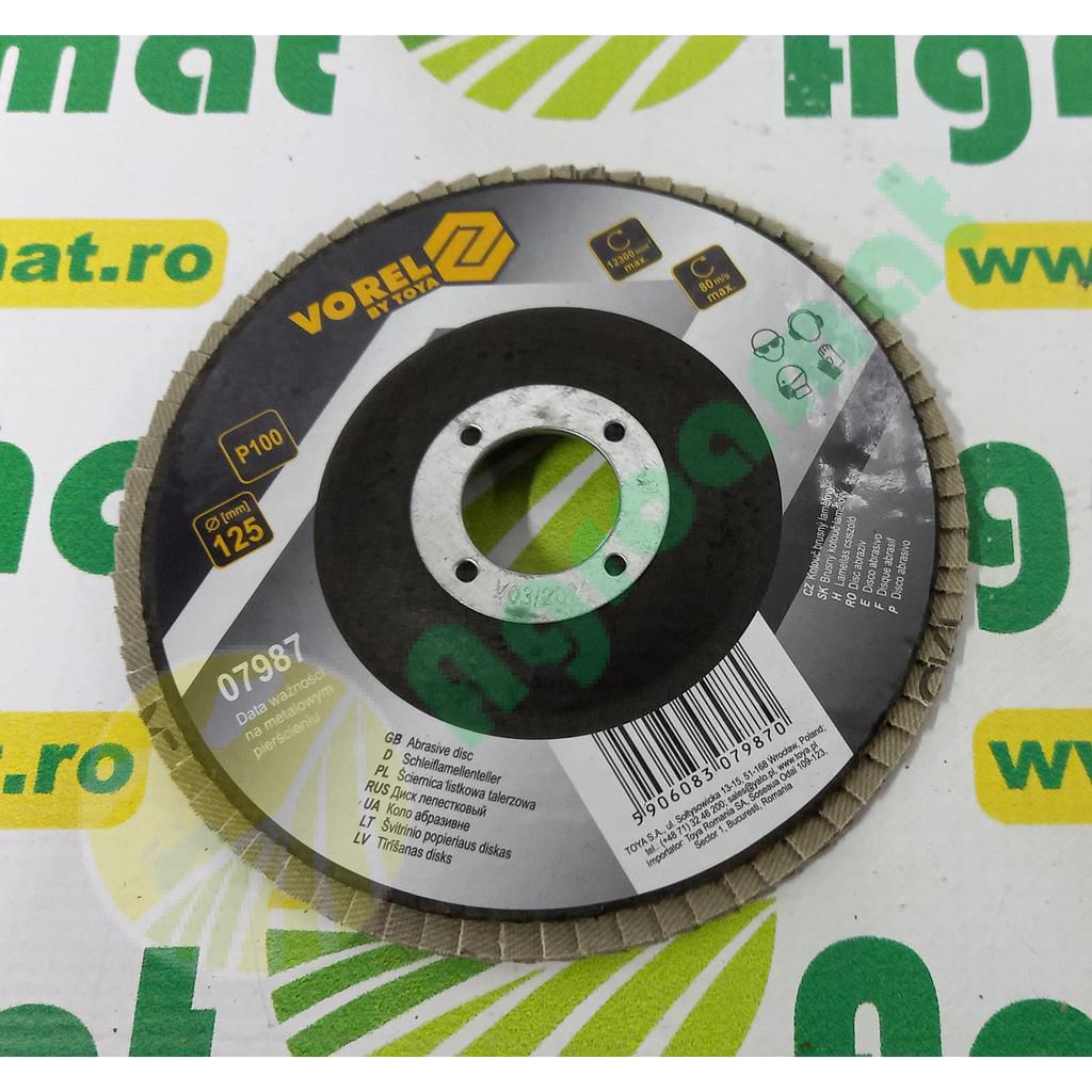 Disc Abraziv P100 125mm