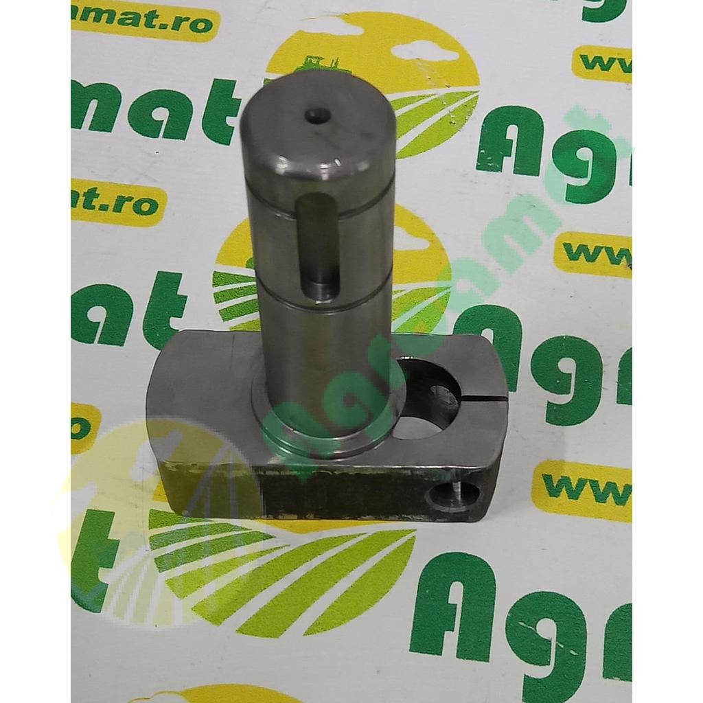 Arbore Antrenare Rapita