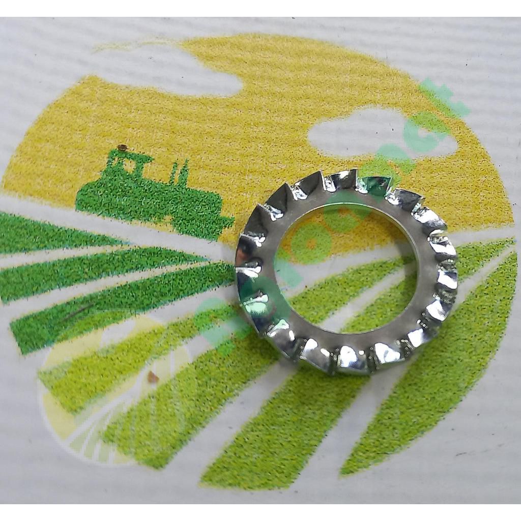 Saiba Crestata M18x30mm