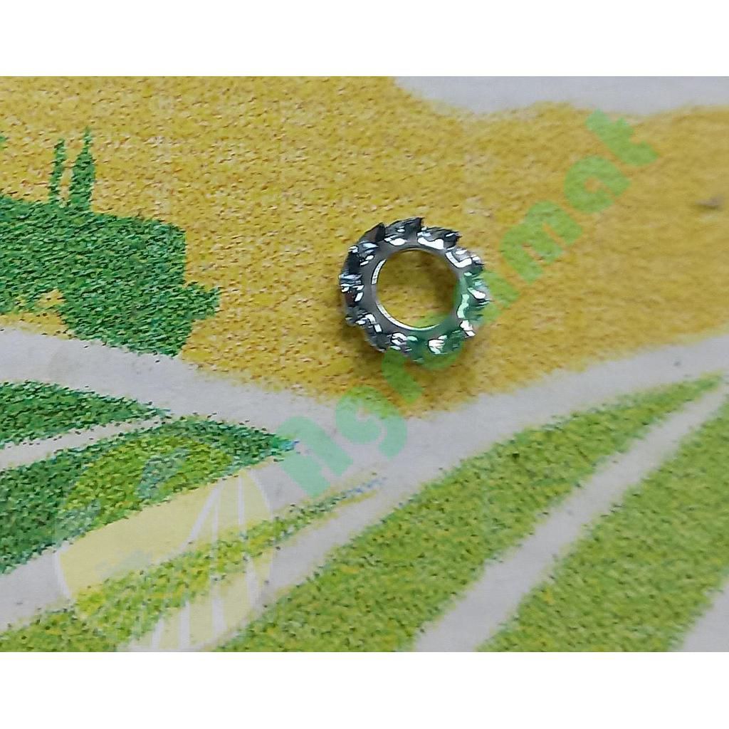 Saiba Crestata M6x11mm