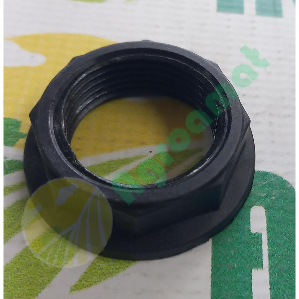 Piulita Olandeza Plata 1