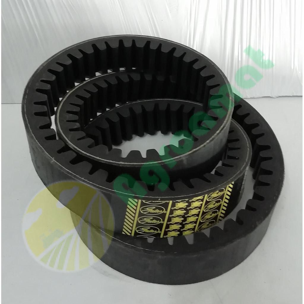 Curea Gates Danturata