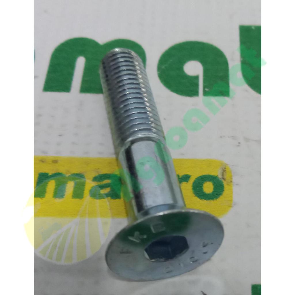 Surub Cap Inecat Orificiu Hexagonal M12x60mm