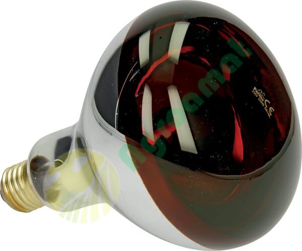 Bec infraroșu 250W roșu Farma