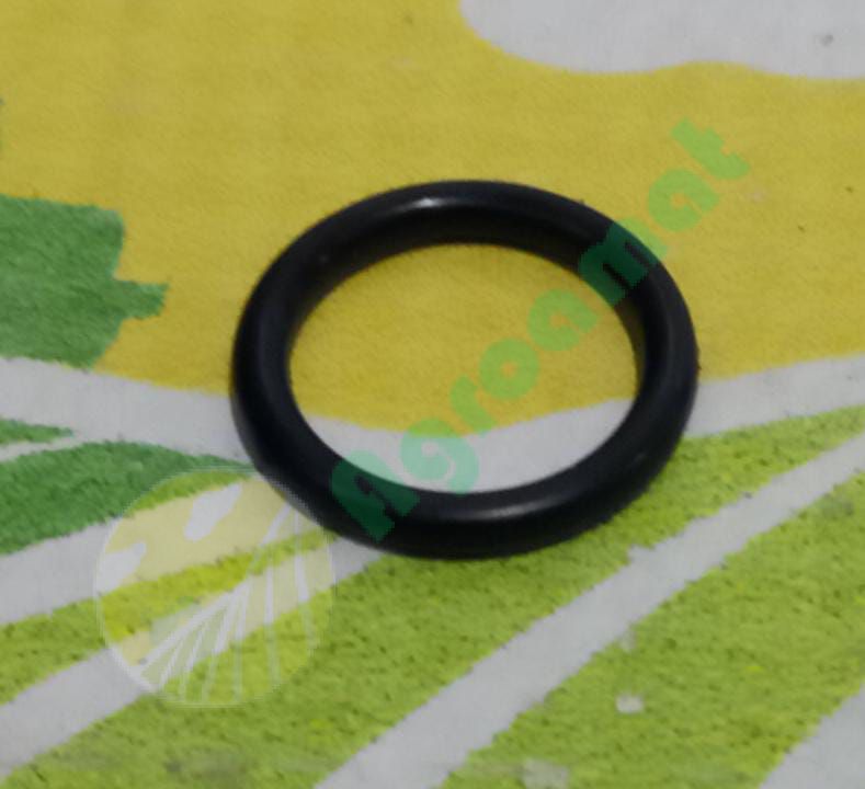 O-ring 364839R1