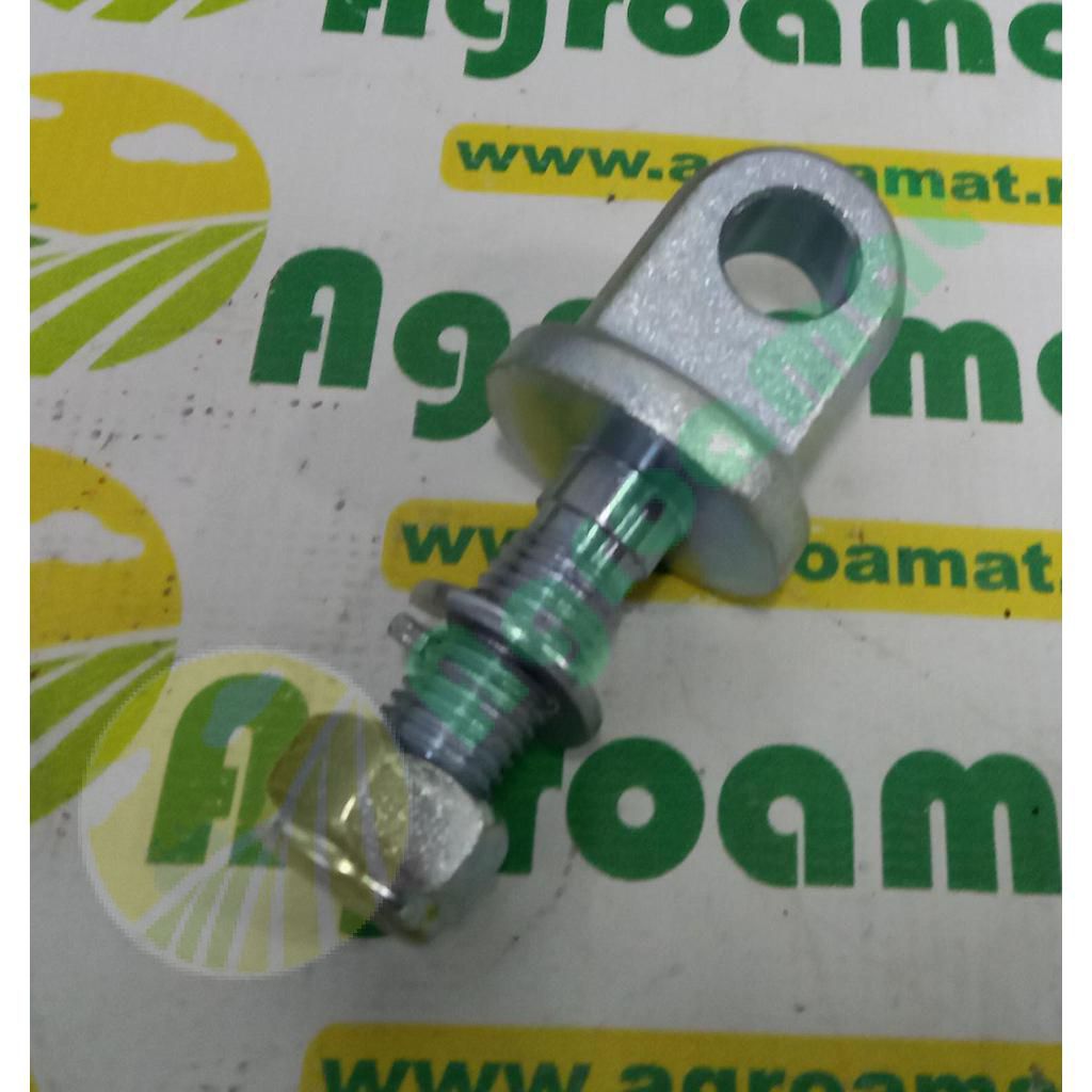 Bolt M20x2,5