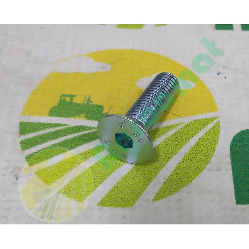 Surub Cap Inecat Imbus M10x35