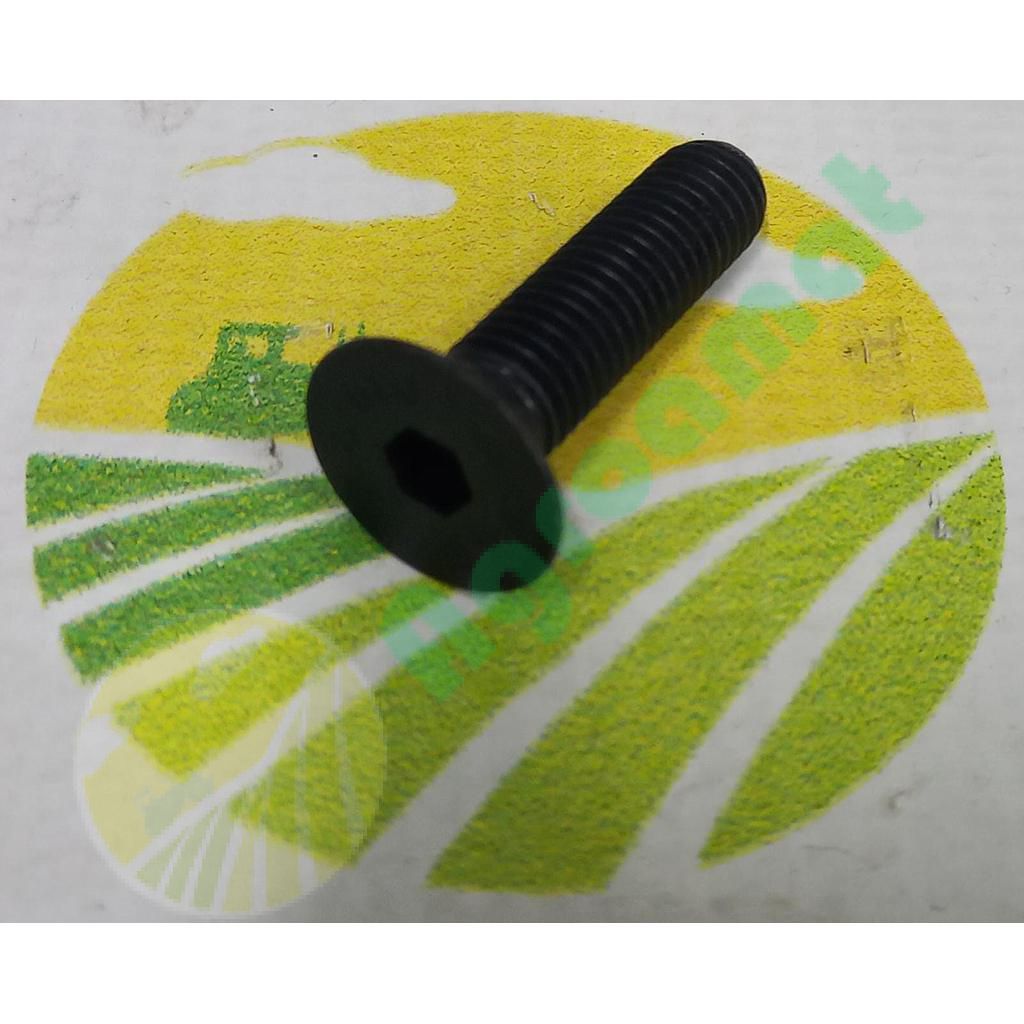 Surub Cap Inecat Imbus M10x40