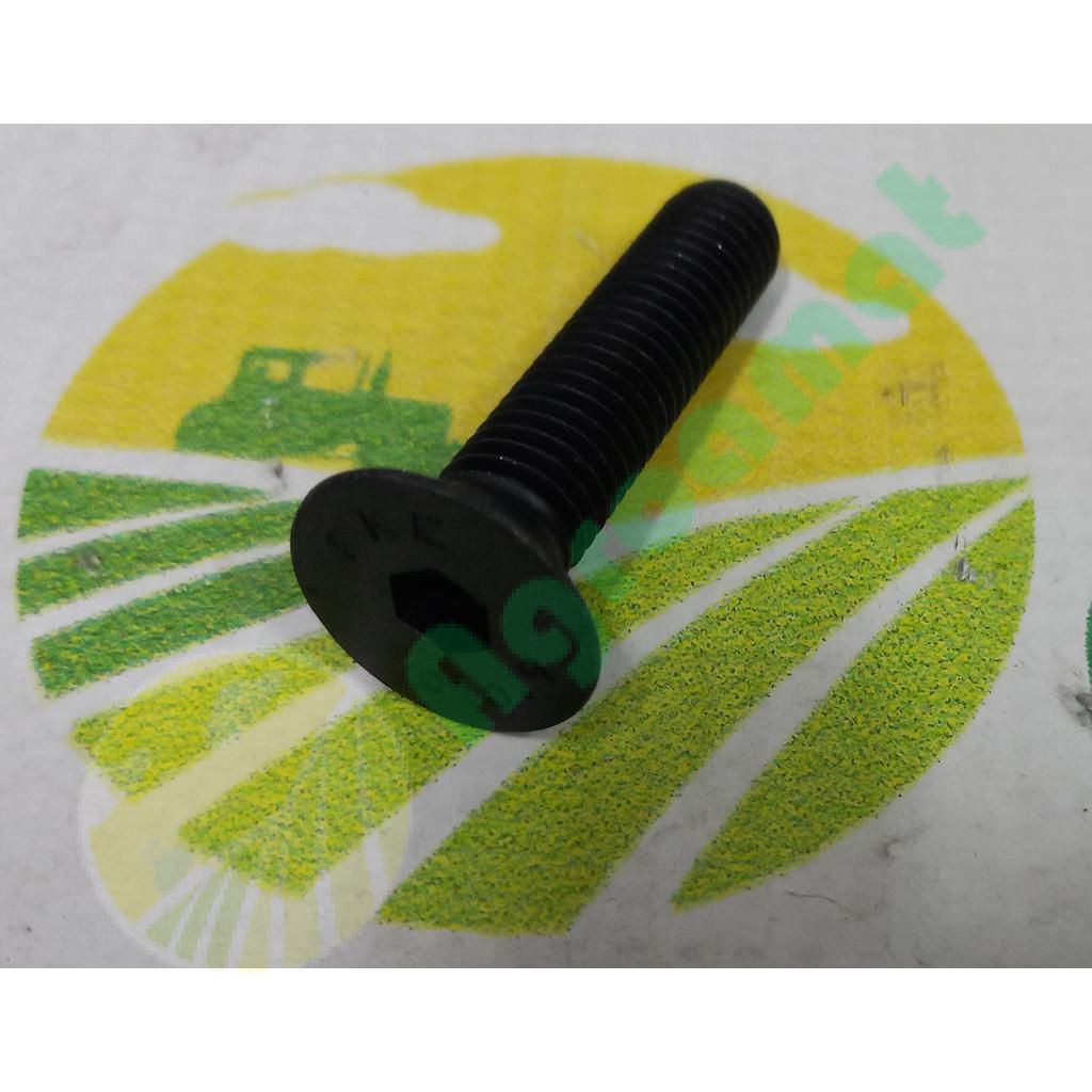 Surub Cap Inecat Imbus M10x45