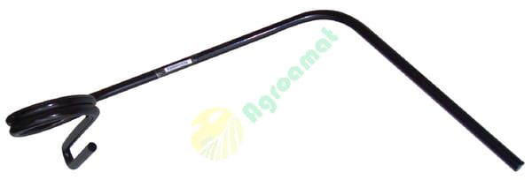 Dinte de grapă spate