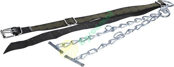 Curea de gât pentru tauri 170x7cm cu lanț dublu și carabină