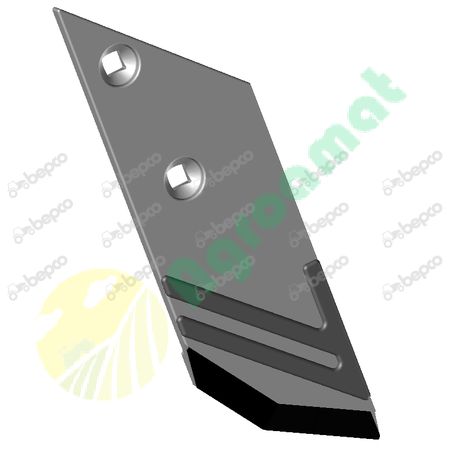 SHARE POINT RIGHT - CARBURE