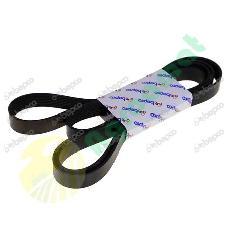 RIBBED BELT 8 PK x 2991