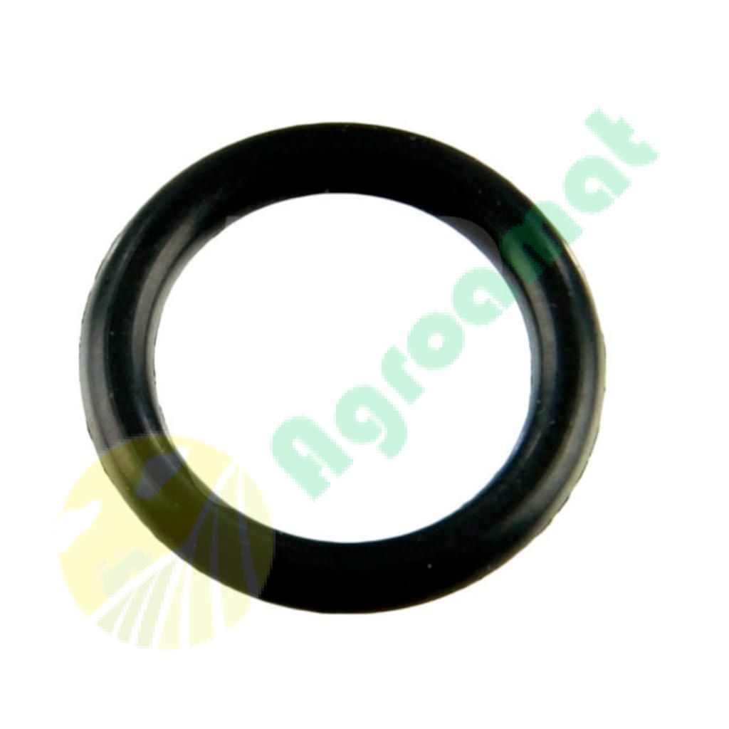 O'Ring Org 2x10