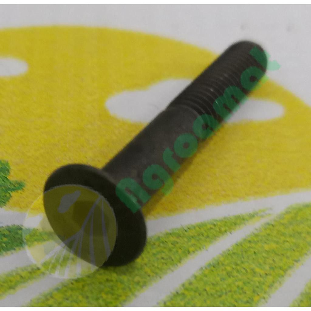 Surub CapInecat Orificiu Hexagonal M6x40mm