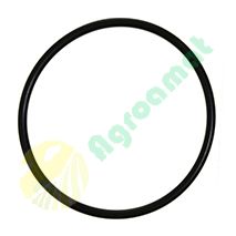 O-Ring 14472880