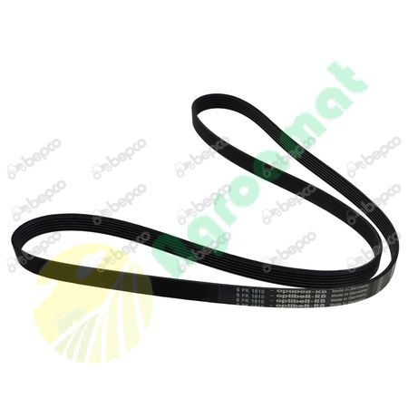 RIBBED BELT 6 PK x 1610
