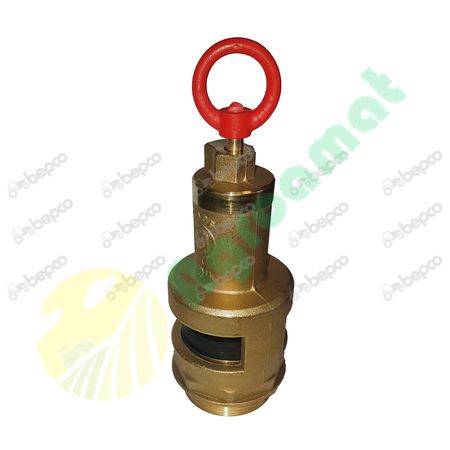 SAFETY VALVE 2''