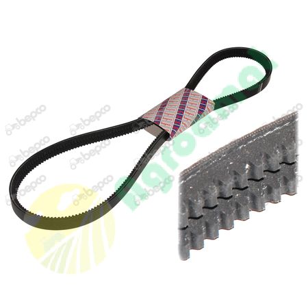 DOUBLE V-BELT 8 x 1550 La