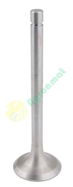 Supapă admisie potrivită pentru Belarus