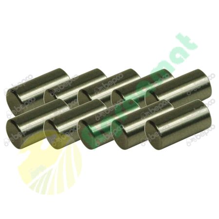 NEEDLE ROLLER Ø 5 MM - L. 10 MM - 10 PCS