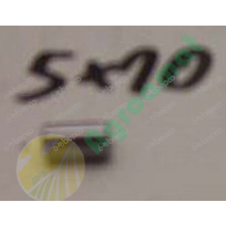 NEEDLE ROLLER Ø 5 MM - L. 10 MM - 10 PCS