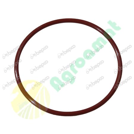 O RING 