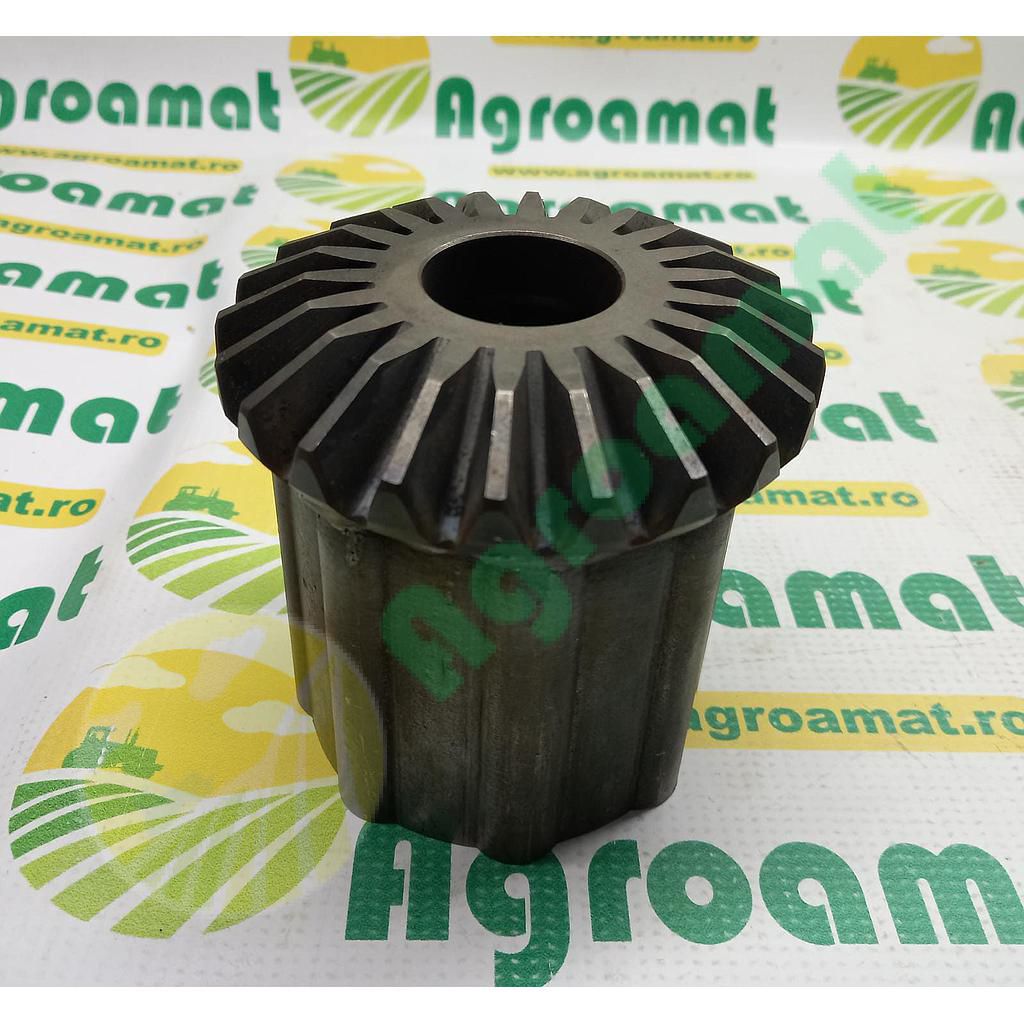 Pinion Mare Z-22 001920