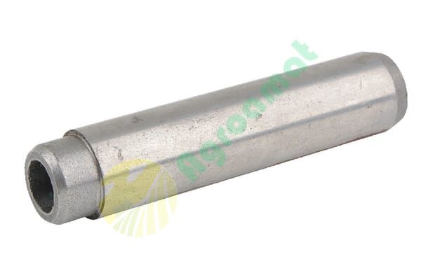 Ghid supapă potrivit pentru Belarus