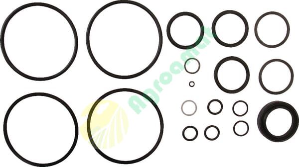 Inel potrivit pentru Belarus