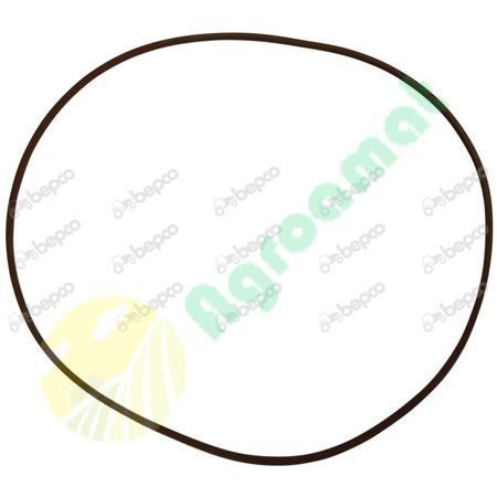 O-RING Ø 259.4 X 252.6 X 3.4 MM