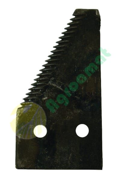 Secțiune terminală