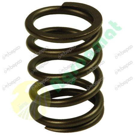 VALVE SPRING 