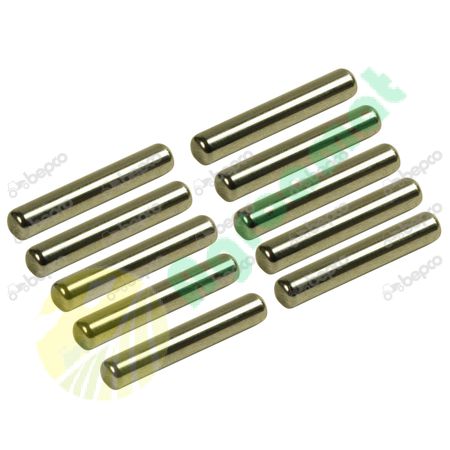 NEEDLE ROLLER Ø 5 MM - L. 29.8 MM - 10 PCS