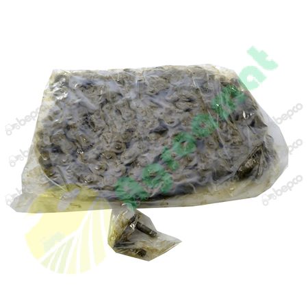 ROLLER CHAIN 20B-1 - P 31.75 MM - 5 m