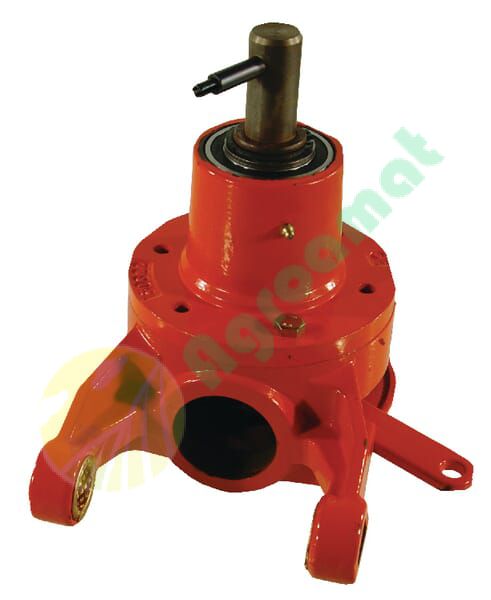 Cap de balama stânga, reconstrucție