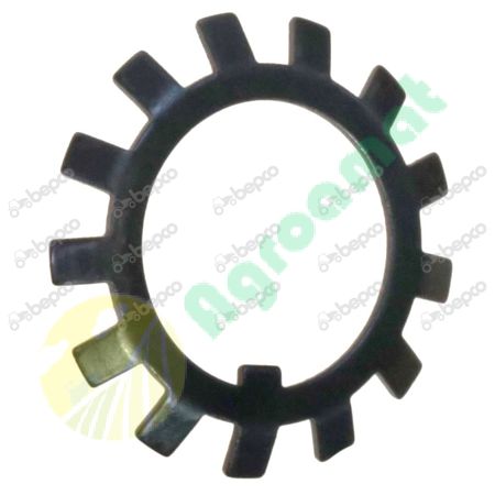 LOCK WASHER MB 6