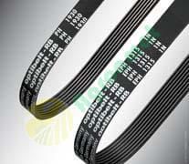Ribbed Belts