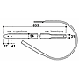 ab50885