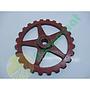 Pinion